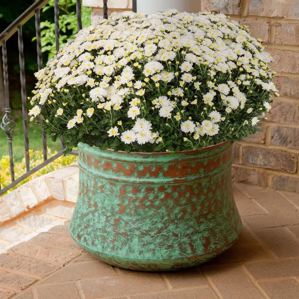 Liberty Garden Patina Steel Hose Pot 1917