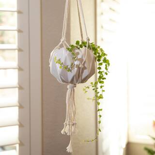 Flora Bunda 5 in. Matte White Ceramic Macrame Hanging Planter EM1882E-MTWH