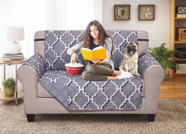 Couch Guard Love Seat Furniture Protector