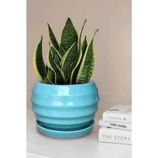 Trendspot 9 in. Lantern Bell Ceramic Planter in Aqua CR00301-09B