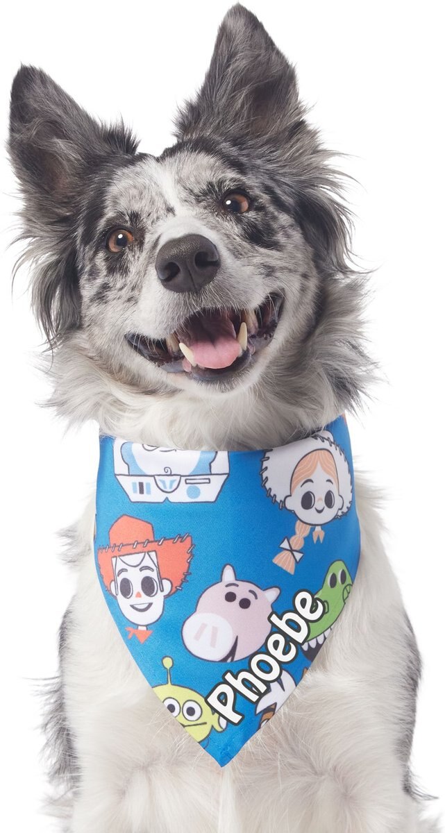 Pixar Toy Story Version2 Personalized Dog and Cat Bandana