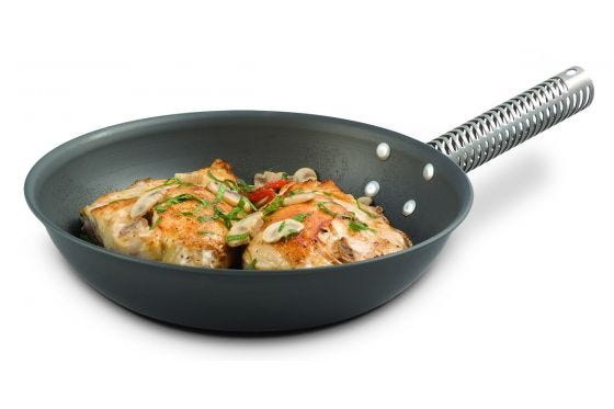 LloydPans Kitchenware FR 10 DK LP 10 Inch Fry Pan ...