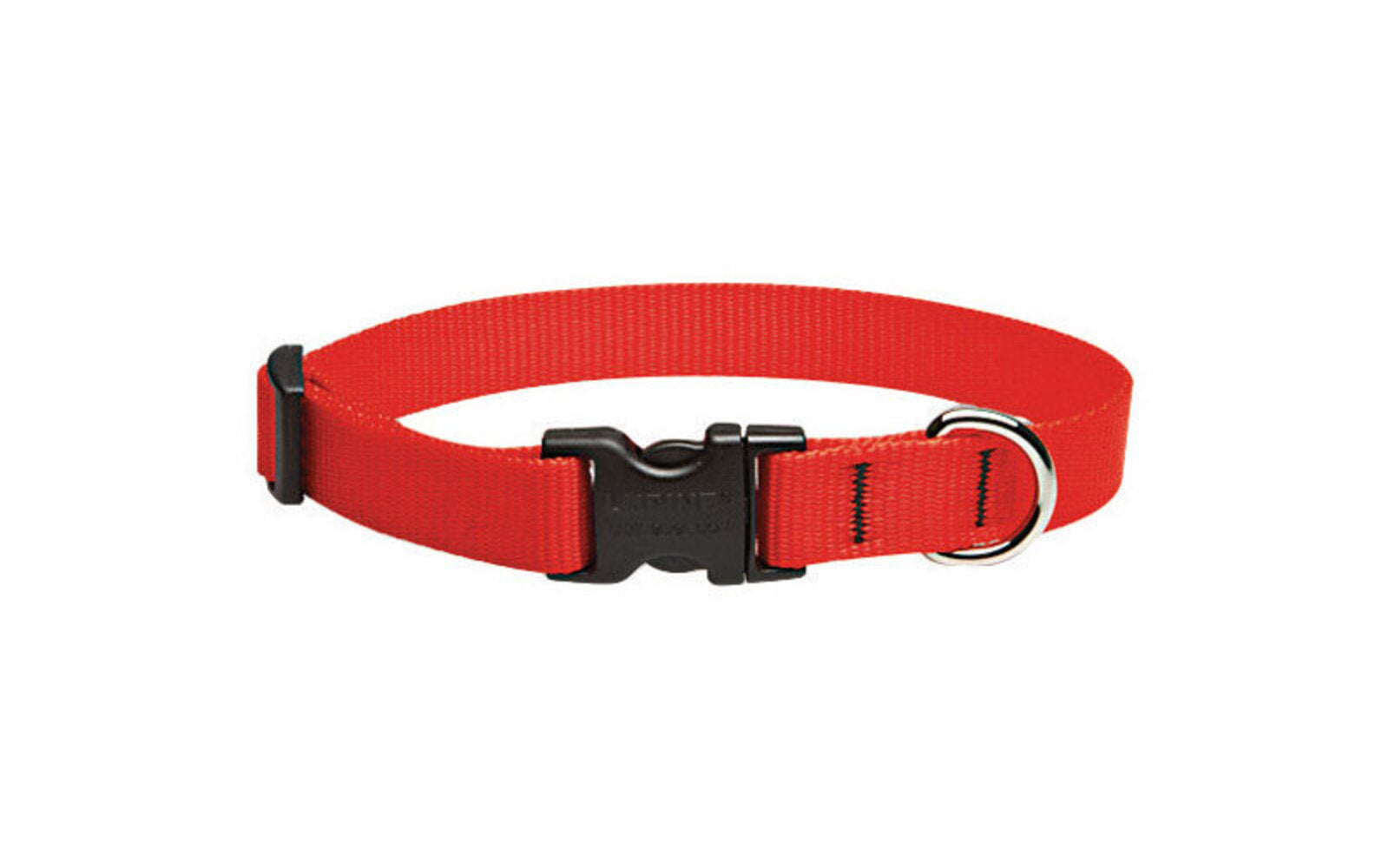 DOG COLLAR 9-14