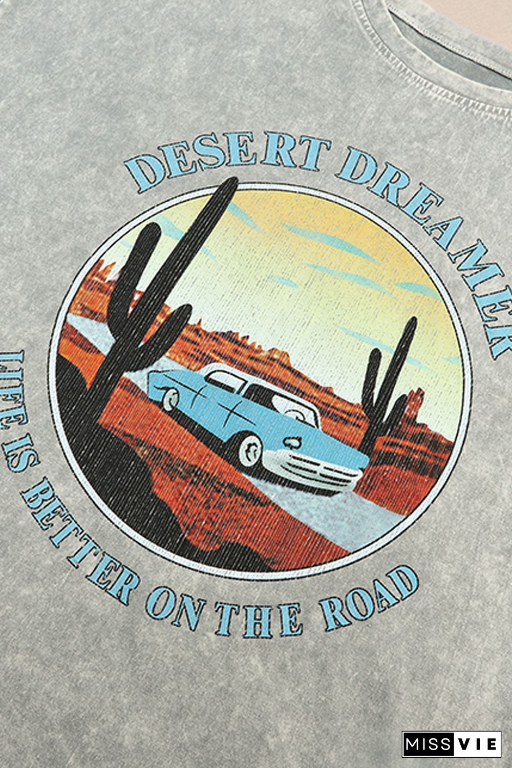 Gray Desert Dreamer Mineral Wash Graphic Tee