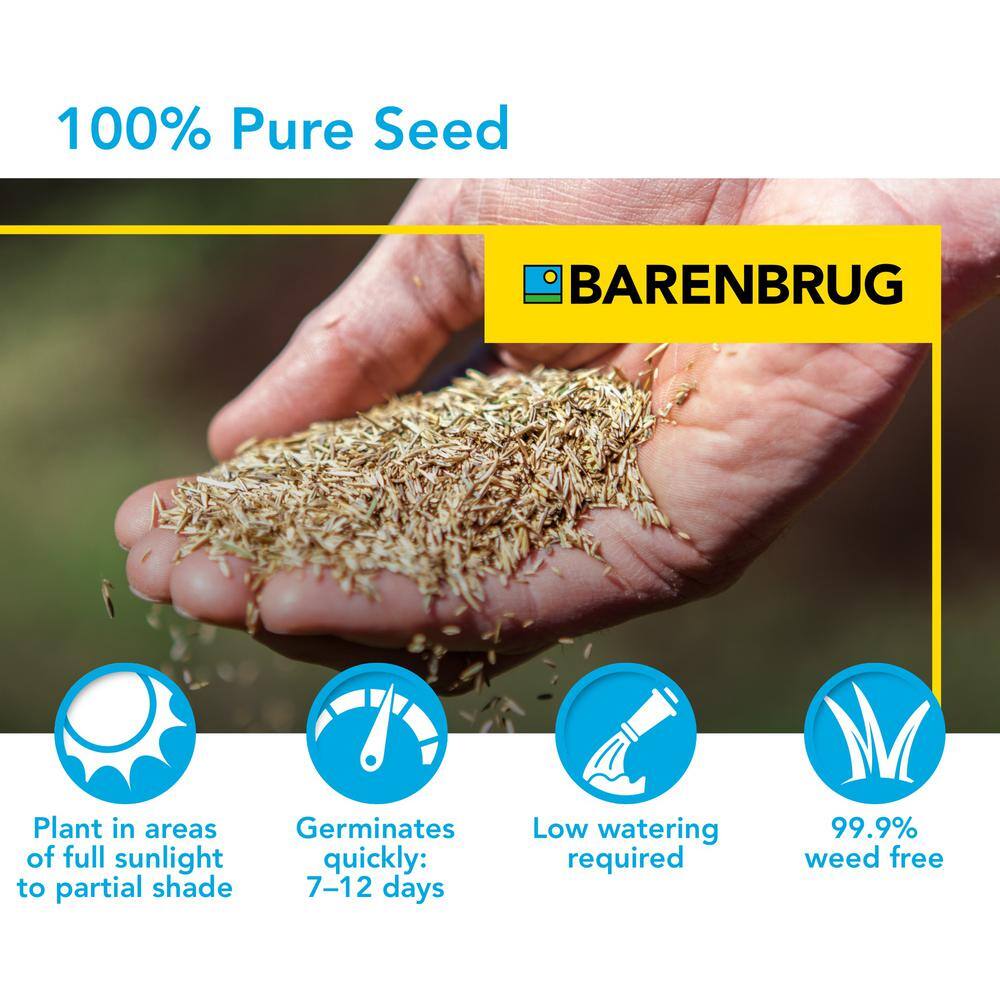 Barenbrug Turf Sense 5 lbs. Athletic Field Mix Grass Seed 25620