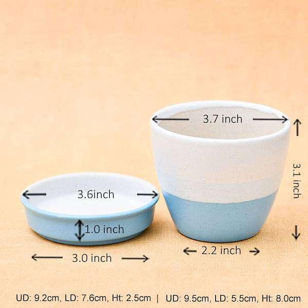 3.7 inch (9 cm) CP036 Round Egg Ceramic Pot with Plate (White, Blue) (set of 2)