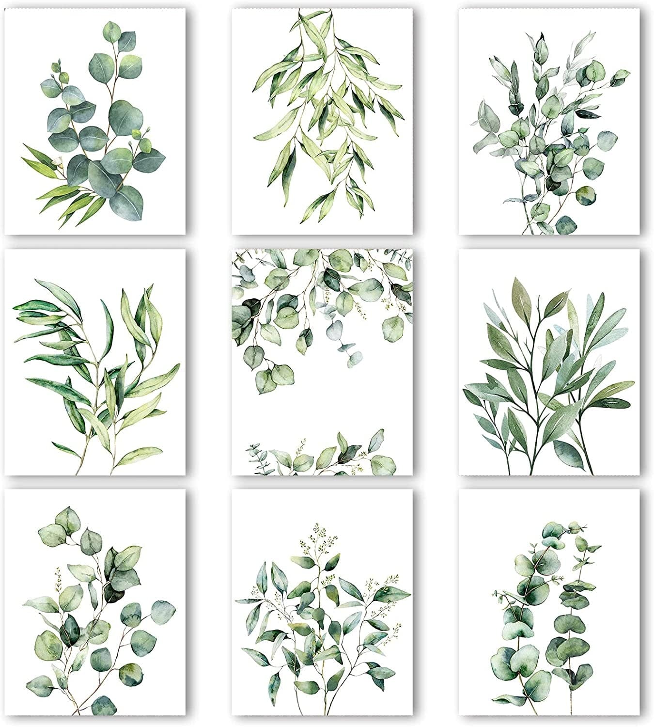 Zonon 9 Pieces Botanical Plant Wall Art Prints Eucalyptus Wall Decor B