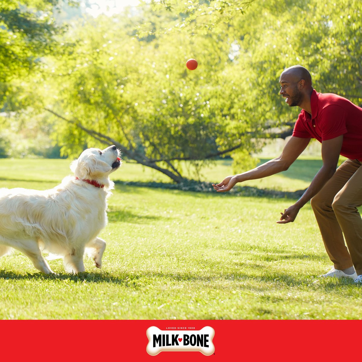 Milk-Bone Flavor Twists Chews What's Steak'n Bacon Dog Treats