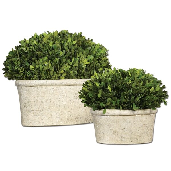 Uttermost Preserved Boxwood with Oval Dome (Set of 2)