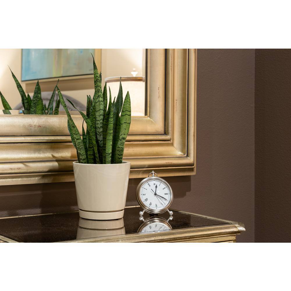 Trendspot 8 in. Oatmeal Knack Ceramic Planter， Set of 2 ECR01721S-08W2