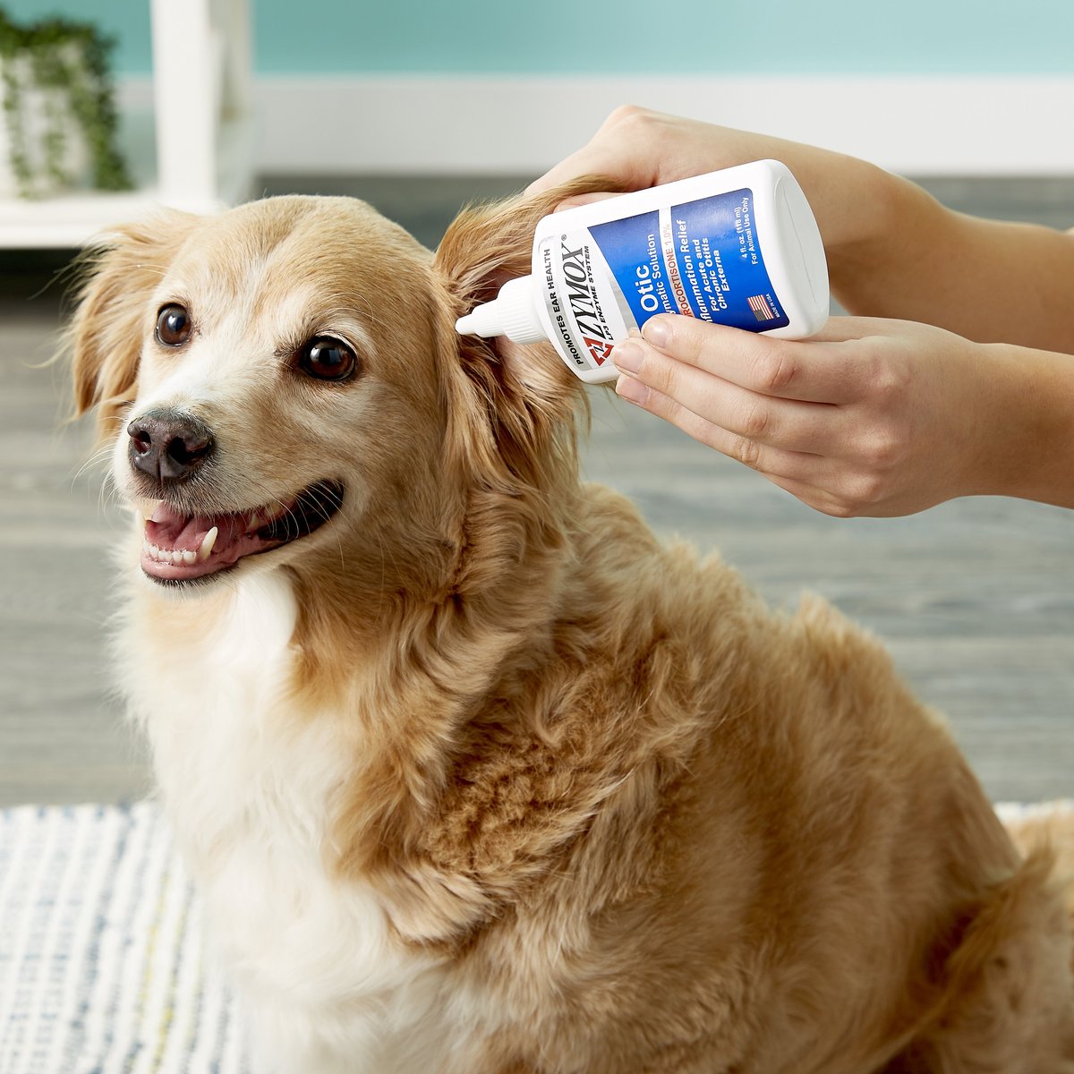 Zymox Otic Dog and Cat Ear Infection Treatment with Hydrocortisone