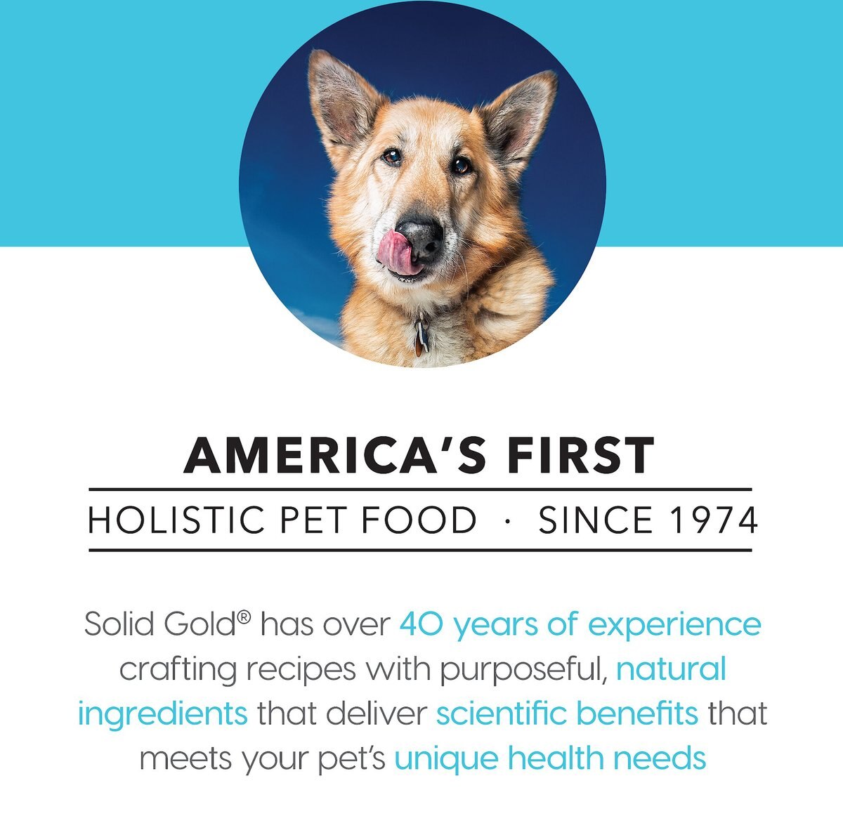 Solid Gold Young At Heart Senior Grain-Free Chicken， Sweet Potato and Spinach Dry Dog Food