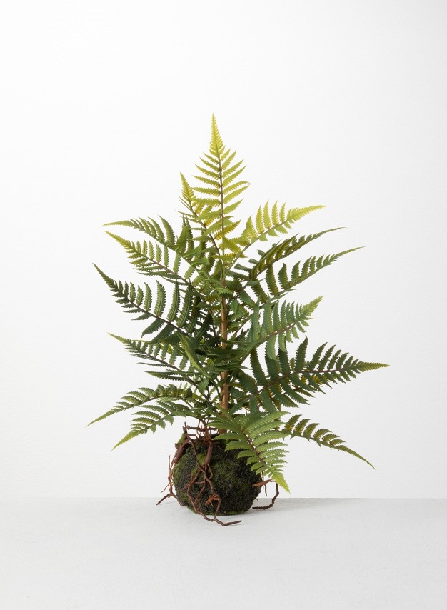 Sullivans Artificial Fern In Ball