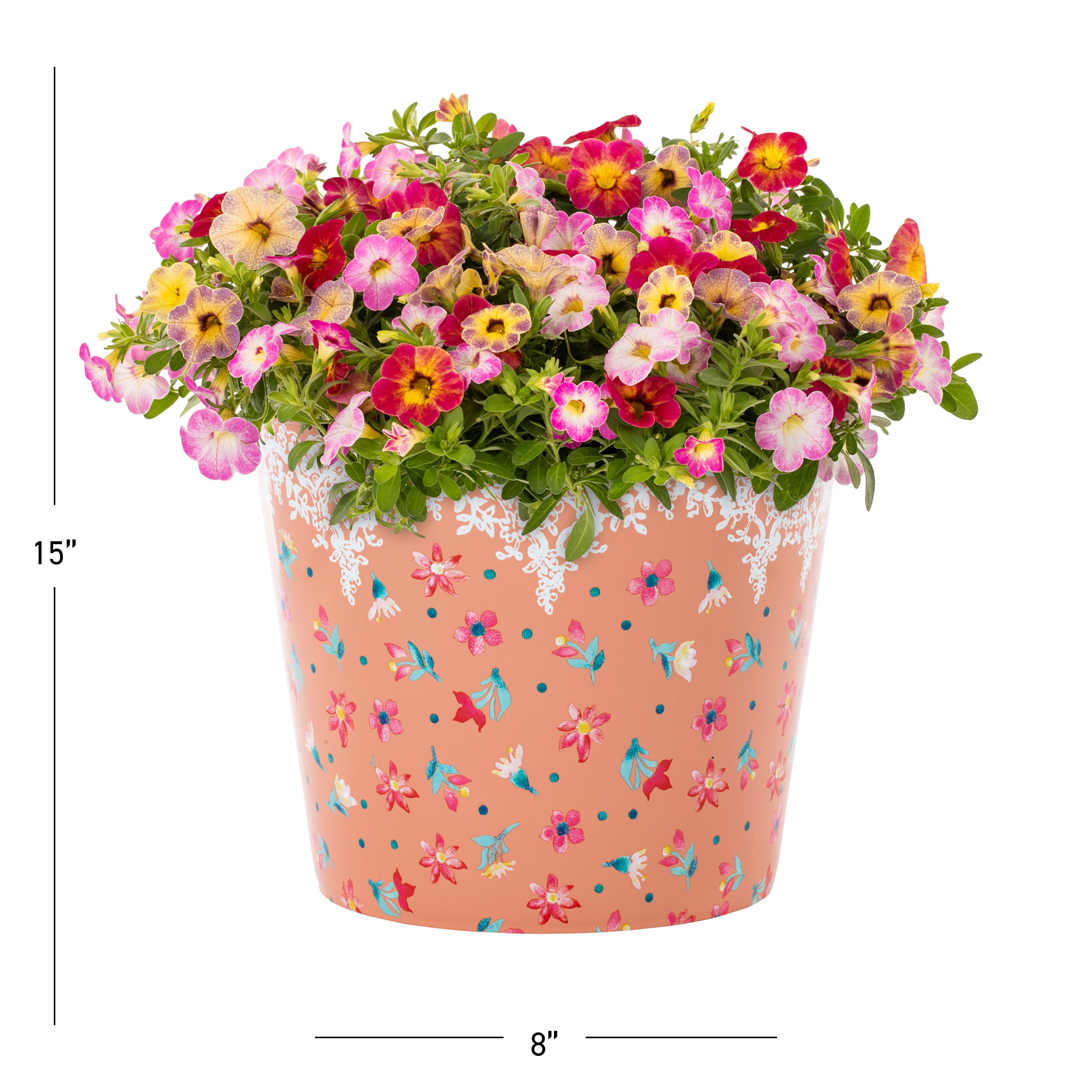 The Pioneer Woman 3QT Multicolor Calibrachoa Annual Live Plant 2-Count with Decorative Pot