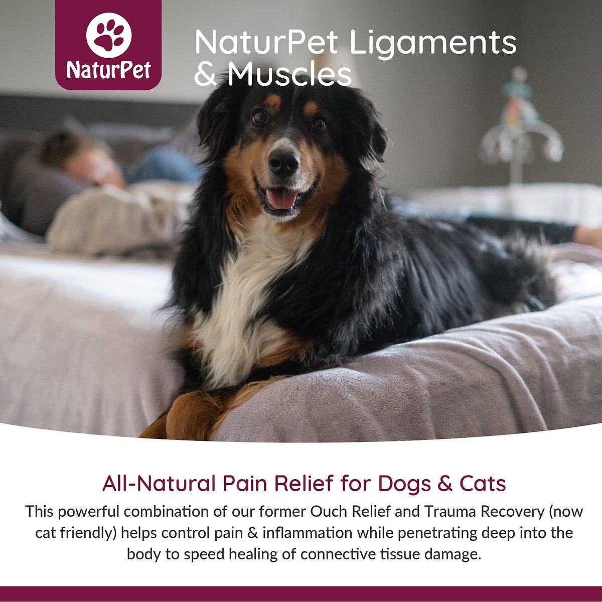 NaturPet Ligament and Muscles Pet Supplement