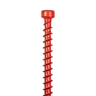 Simpson Strong-Tie 0.152 in. x 6 in. T30 6-Lobe Cap Head Strong-Drive SDWC Truss Screw Orange (50-Pack) SDWC15600-KT