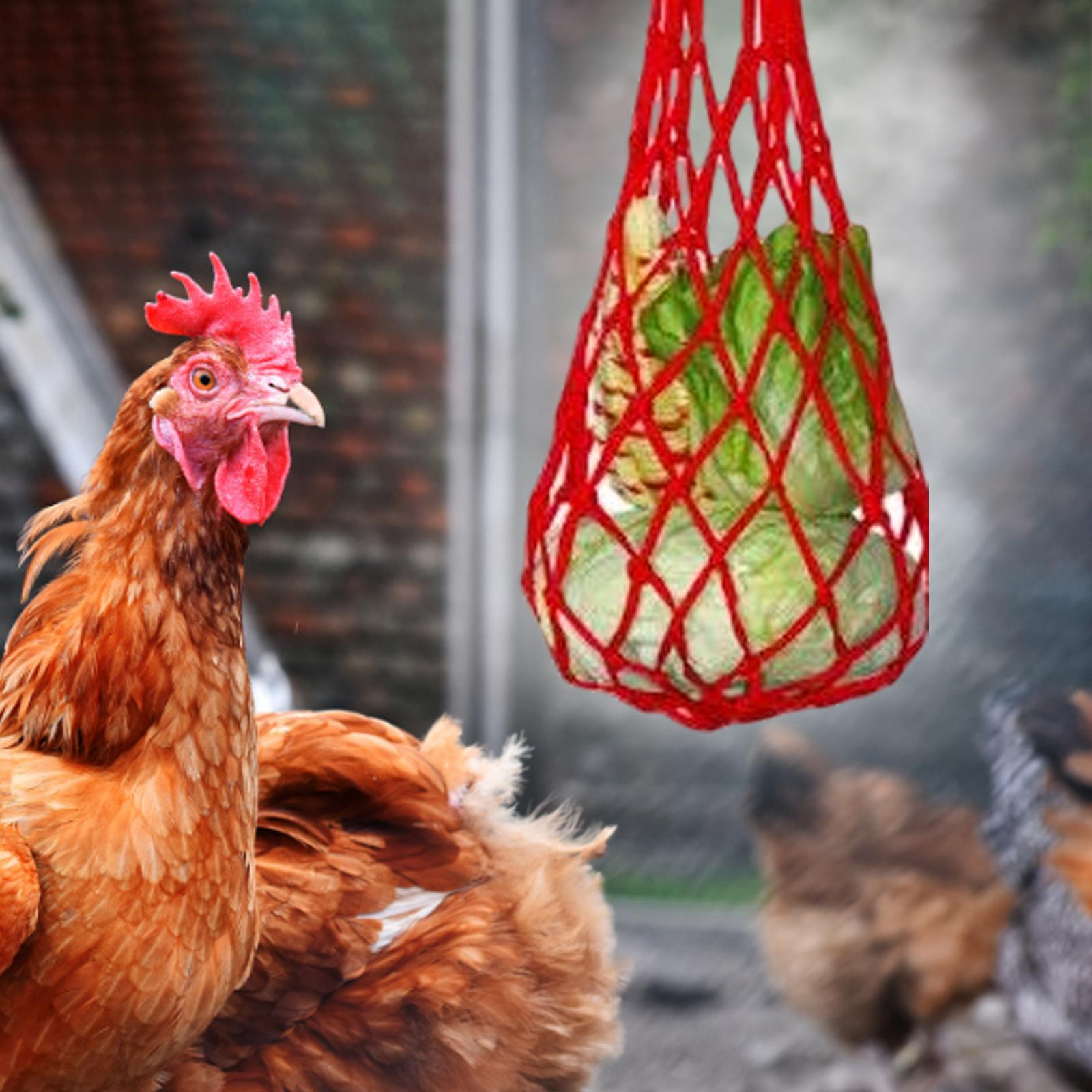 Chicken Vegetable String Bag Hanging Feeder for Large Birds Roosters Poultry red