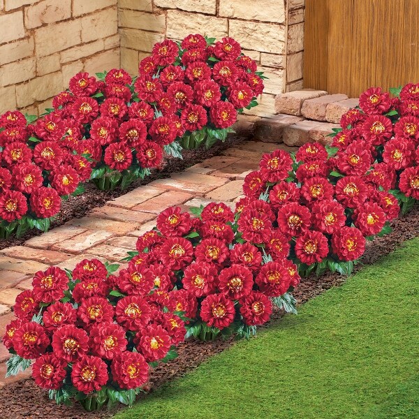 Marigold Mixed Arrangement Bushes