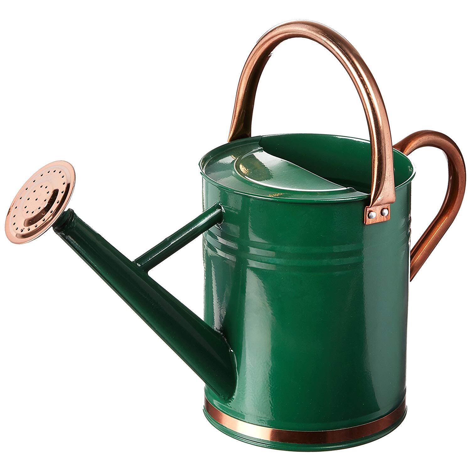 Gardman 1 GALLON HUNTER GREEN WATERING CAN WITH COPPER ACCENTS