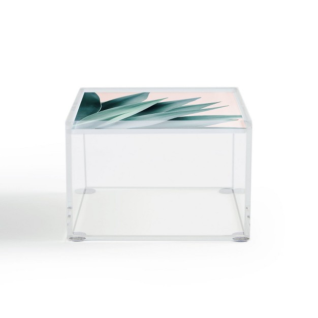 Gale Switzer Agave Flare Ii Peach Acrylic Box Deny Designs