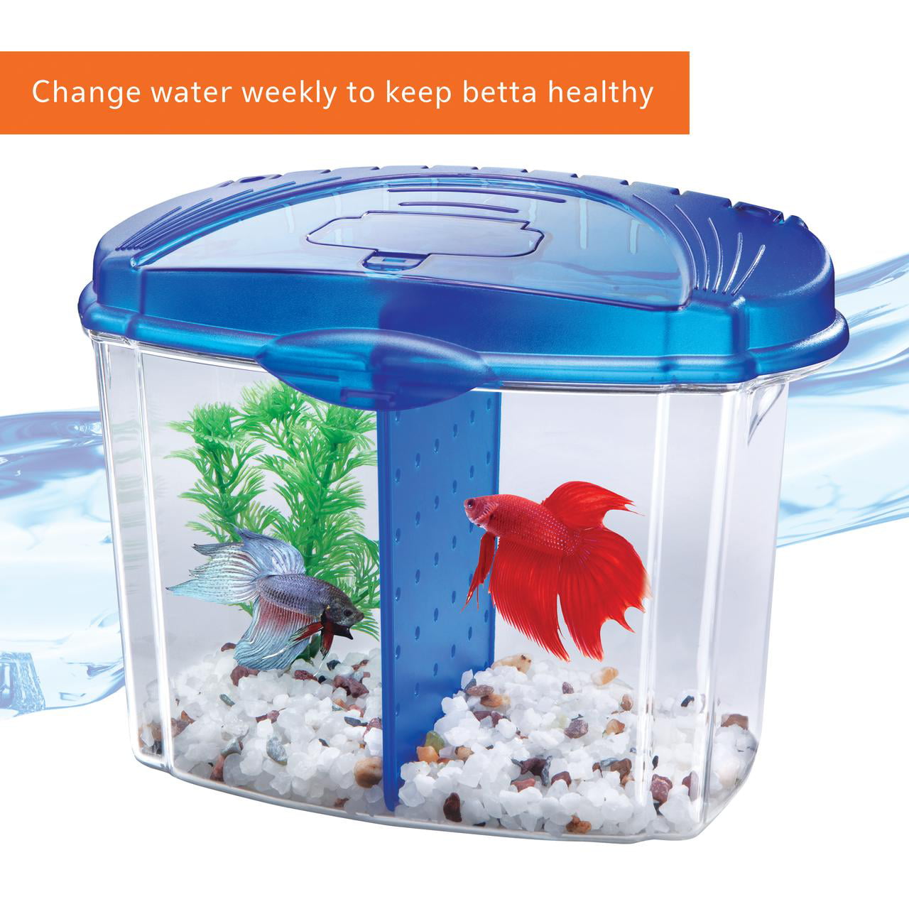 Aqueon Betta Bowl Kit Blue， 0.5 Gallon