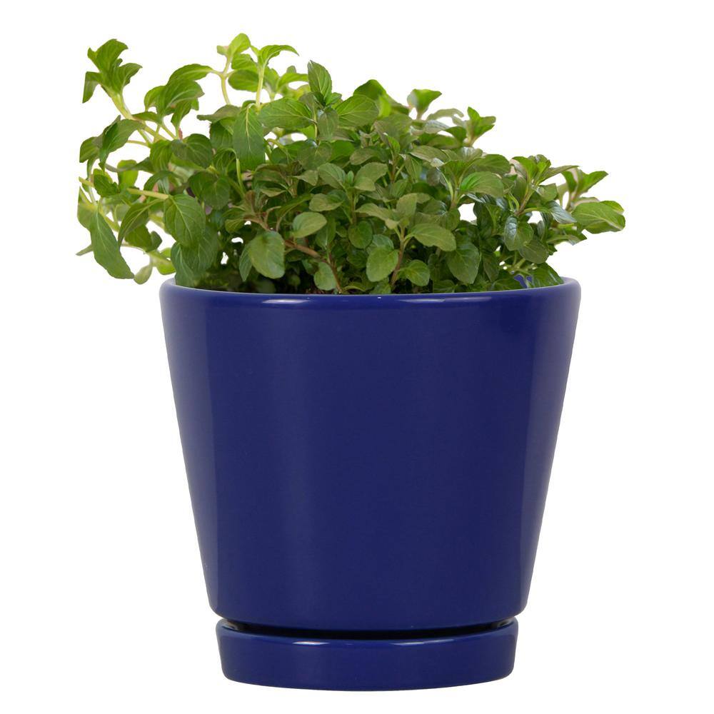 Vigoro 4.4 in. Piedmont Small Blue Ceramic Planter (4.4 in. D x 4.2 in. H) with Drainage Hole and Attached Saucer CR01721S-04M2