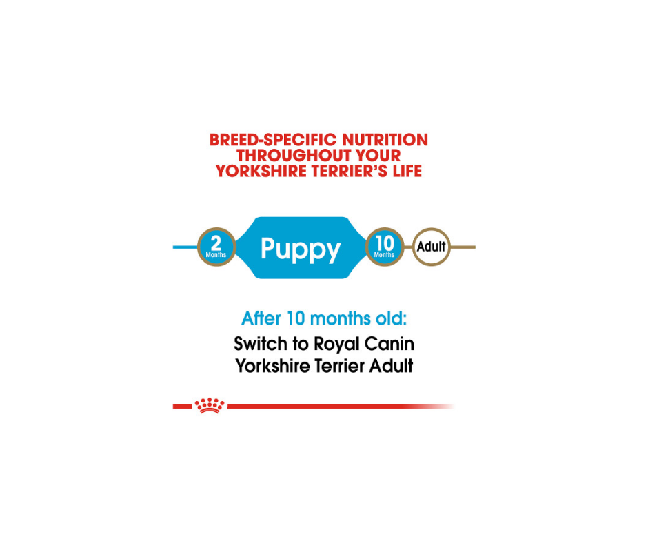 Royal Canin - Yorkshire Terrier Puppy Dry Dog Food