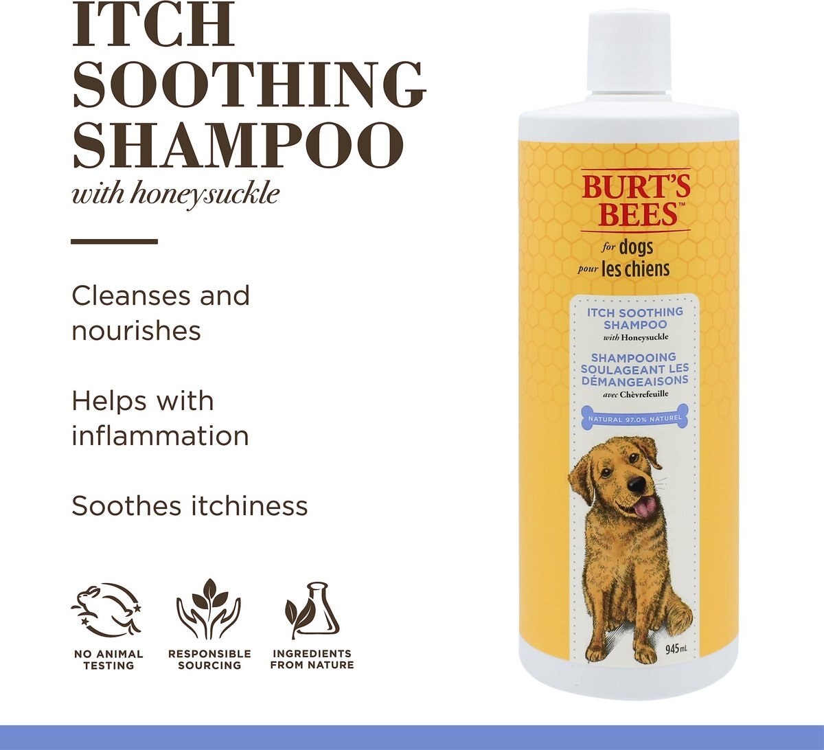 Burt's Bees Itch Soothing Shampoo with Honeysuckle for Dogs