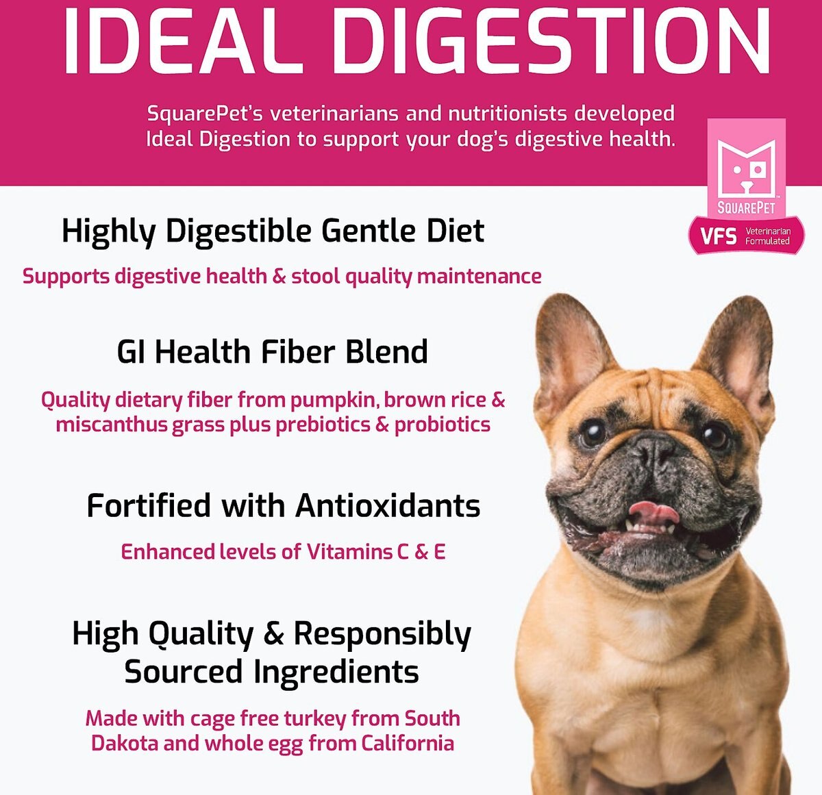 SquarePet VFS Ideal Digestion Dry Dog Food