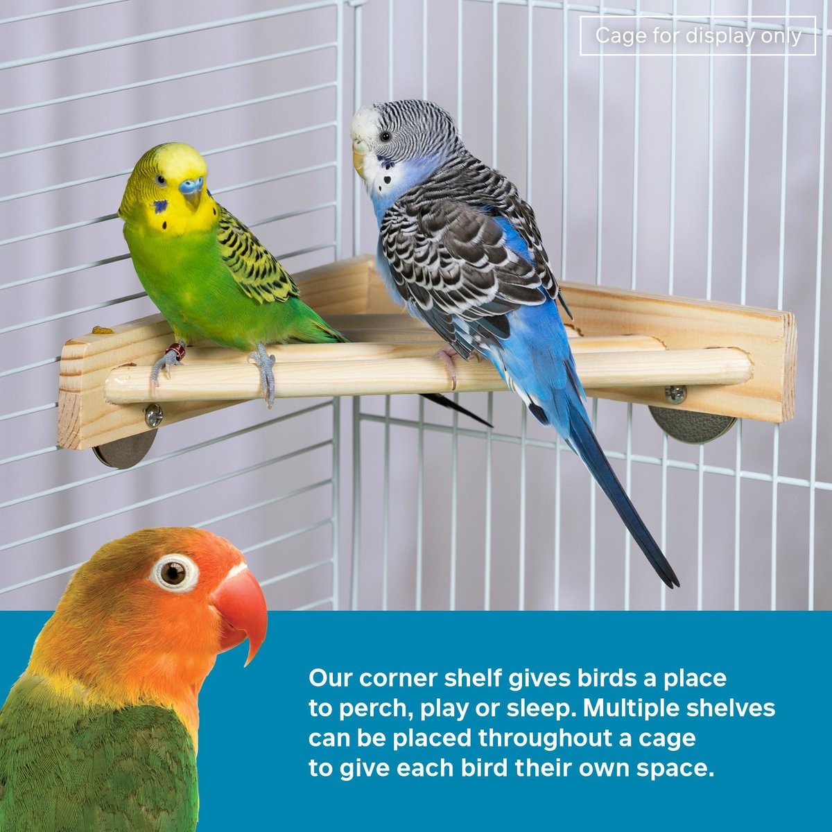 Prevue Pet Products Wood Corner Bird Cage Shelf