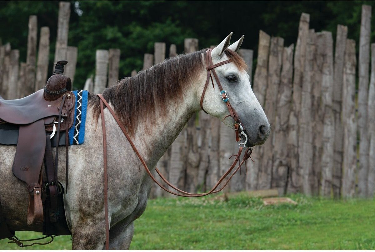 Weaver Leather ProTack Designer Hardward Horse Browband Headstall