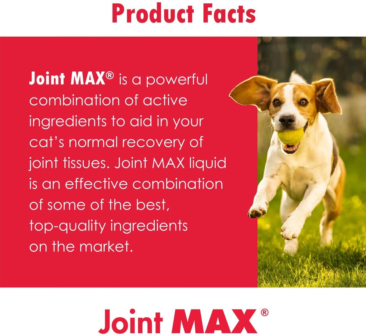 Joint MAX Joint Treats for Dogs