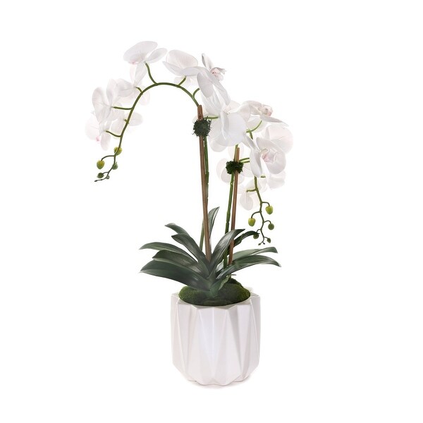 Real Touch Phalaenopsis Orchids in White Dimensional Pot