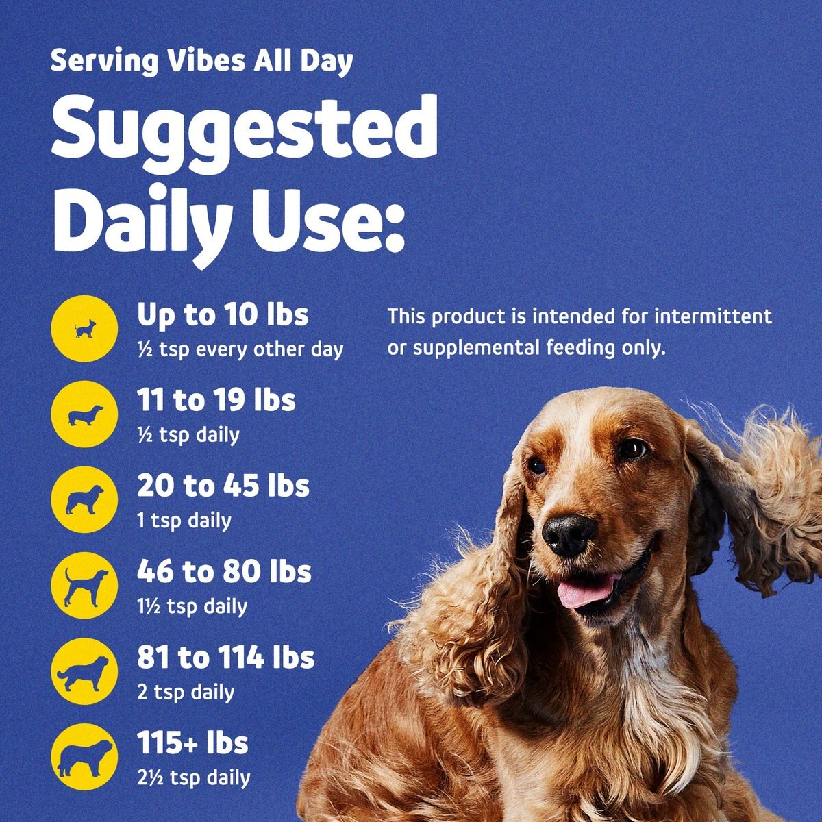 Vibeful Omega-3 Fish Oil Liquid Skin and Coat Supplement for Dogs