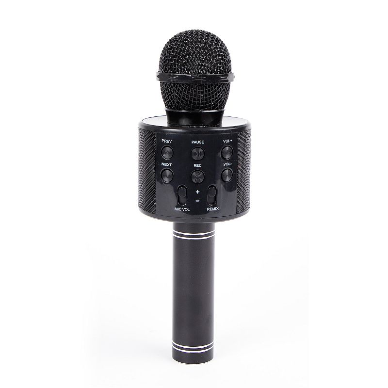 Nifty Karaoke Microphone