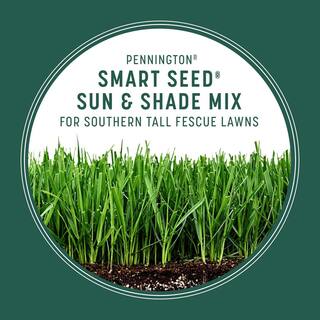 Pennington Smart Seed 7 lbs. Sun and Shade South Grass Seed and Fertilizer 100543723