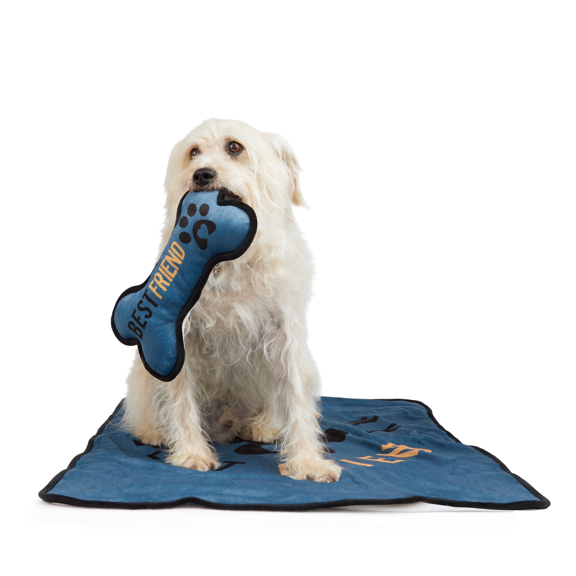 BOBS from Skechers Throw and Bone Pillow Set for Dogs