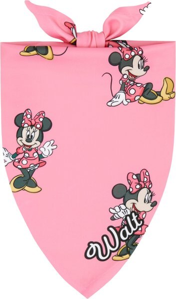 Disney Minnie Mouse Golden Days Personalized Dog and Cat Bandana