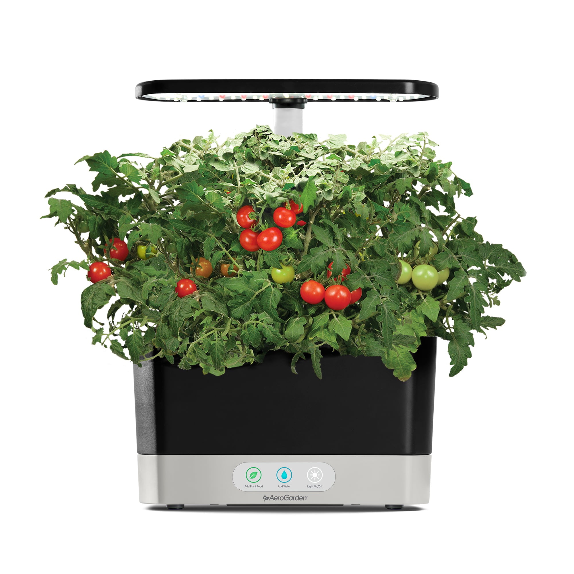 AeroGarden Red Heirloom Cherry Tomato Seed Pod Kit， 6-Pod