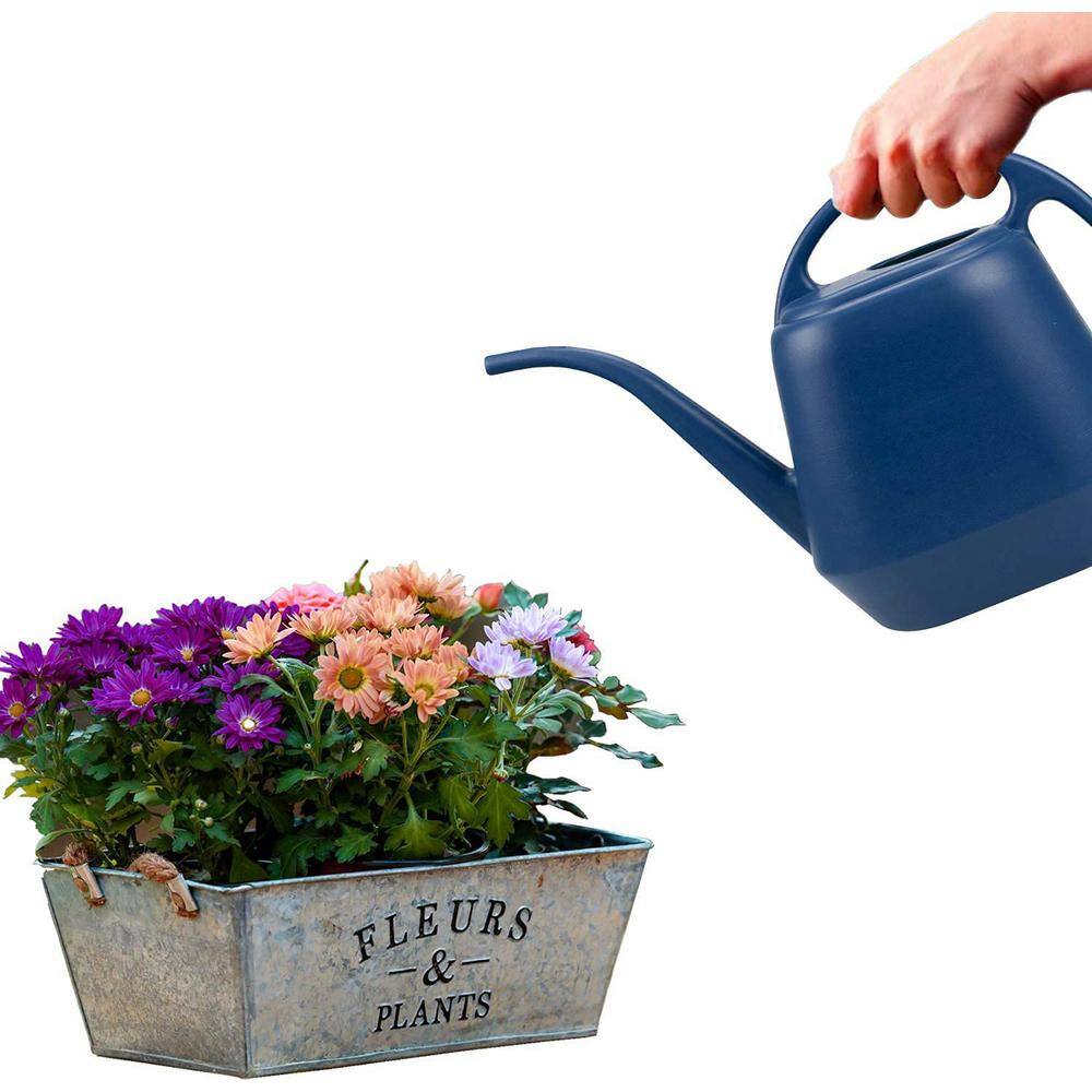 Cubilan 1 Gal. Blue Plastic Watering Can B087RJ6MFT