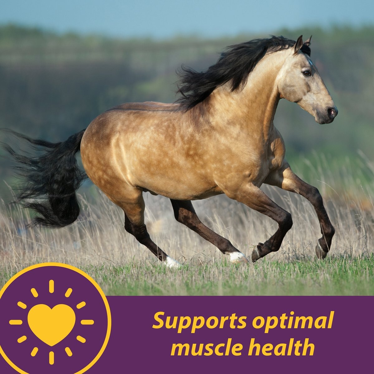 Horse Health Products Vita-E and Selenium Crumbles Horse Supplement