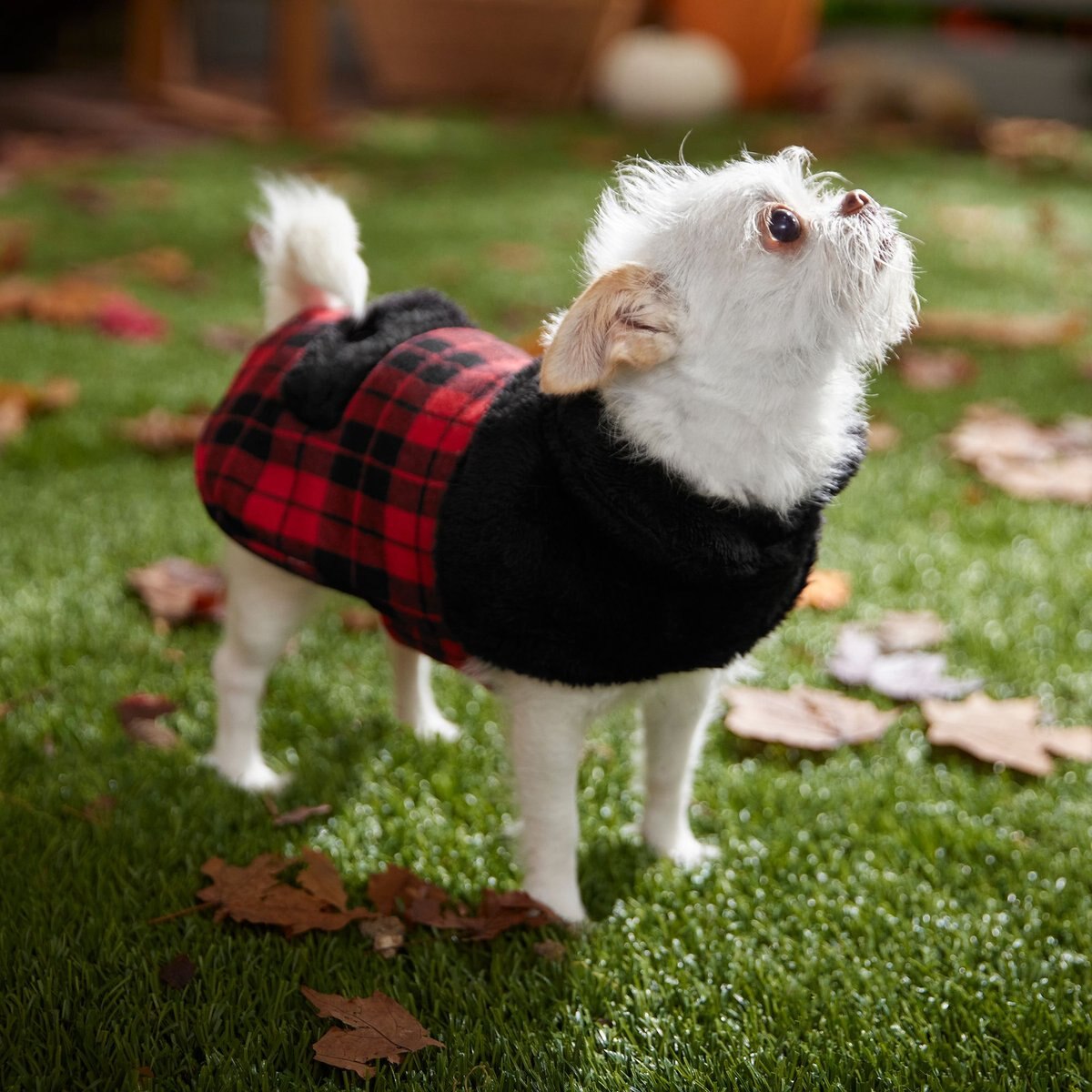 Frisco Mediumweight Plaid Faux Fur Dog and Cat Jacket