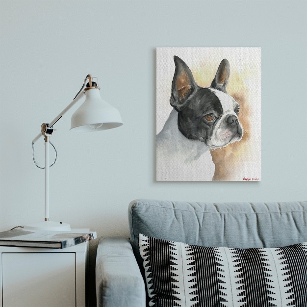 Stupell Industries Boston Terrier Pet Dog Portrait Black Brown Gallery Wrapped Canvas Wall Art 24 X 30