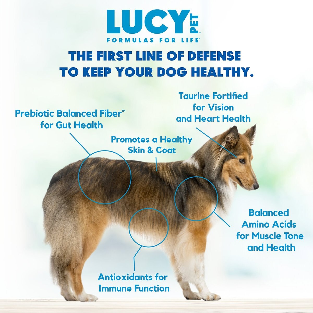 Lucy Pet Products Formulas for Life Grain-Free Duck， Pumpkin and Quinoa Formula Dry Dog Food