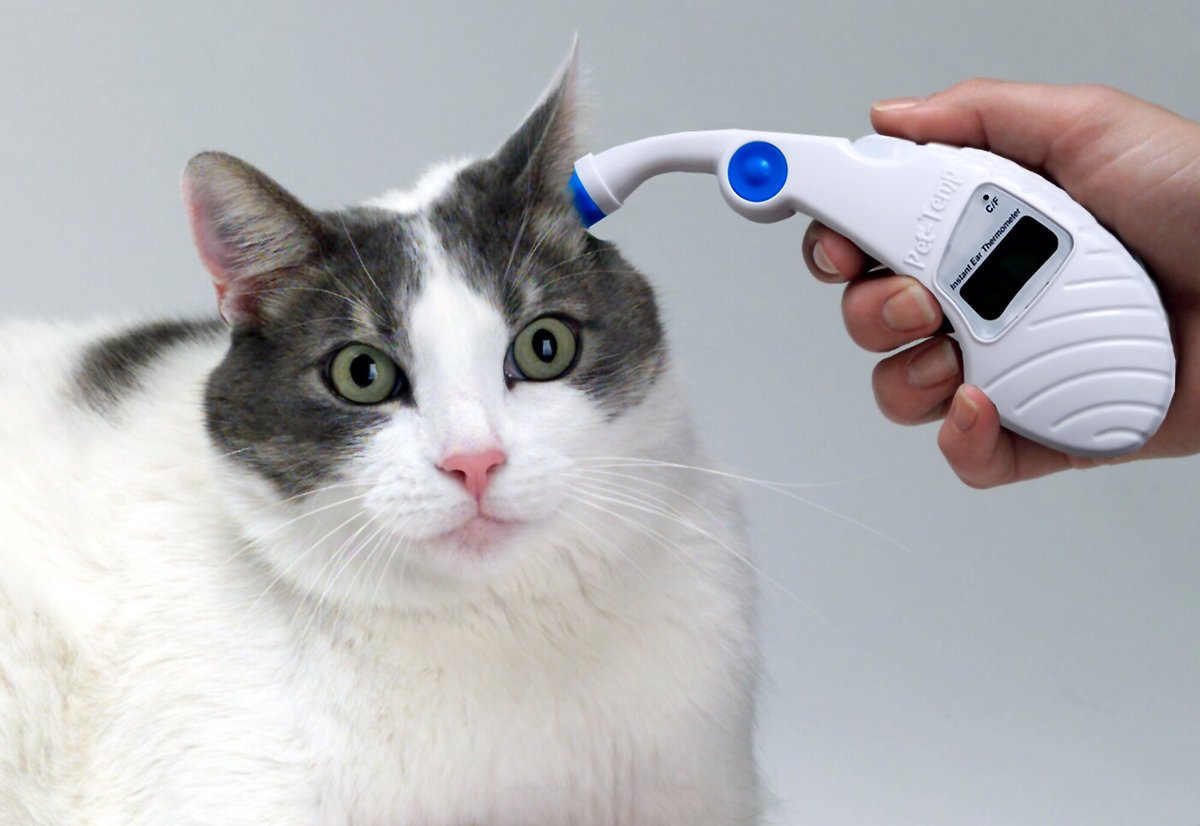 Pet-Temp Instant Pet Ear Thermometer