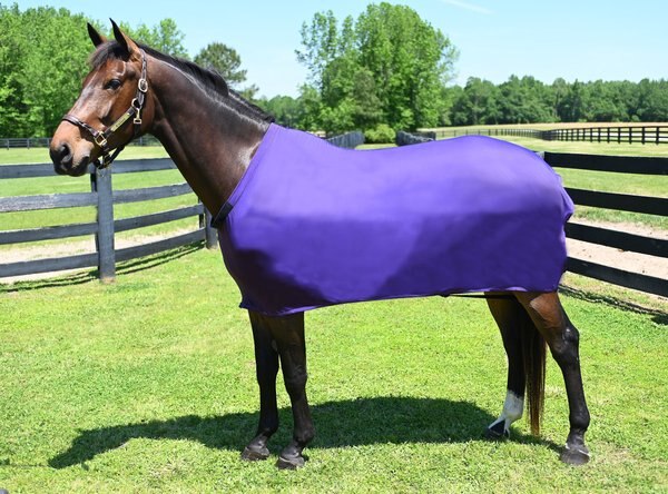 Gatsby StretchX Full Horse Sheet