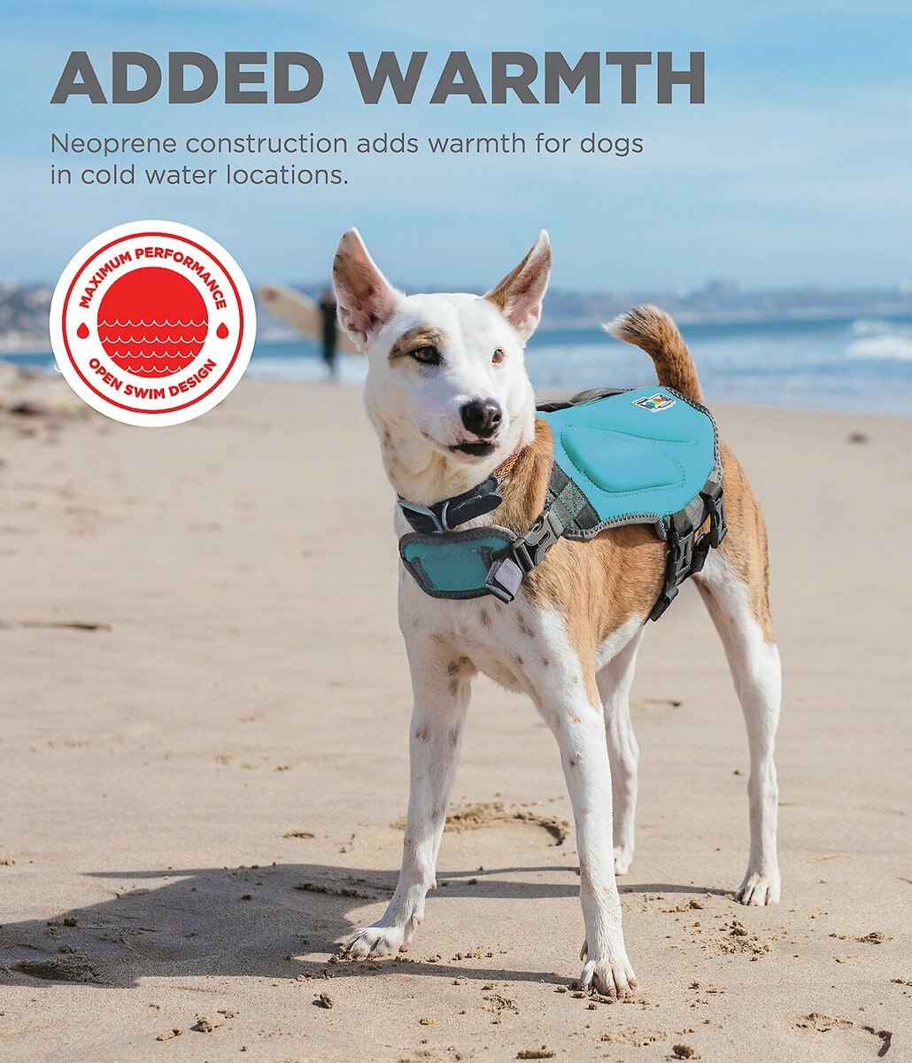 Outward Hound Dawson Swim Dog Life Jacket