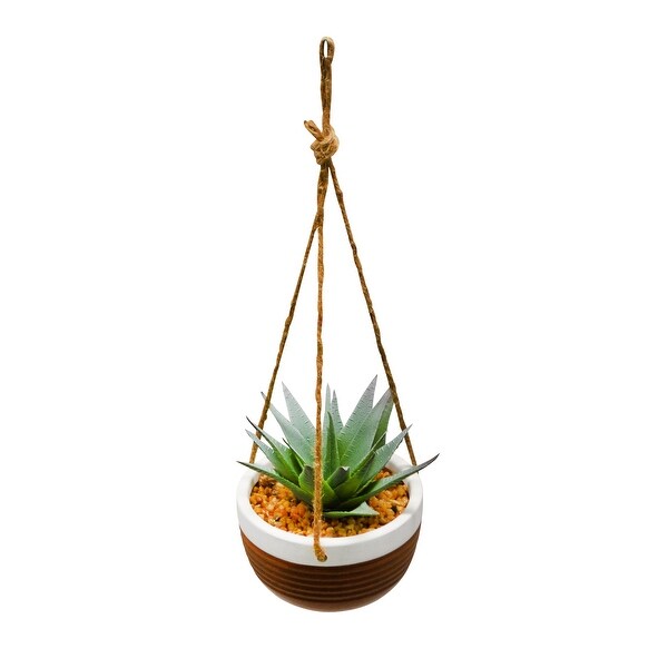 13 Succulents Hanging Planter In Colorful Ceramic Pot