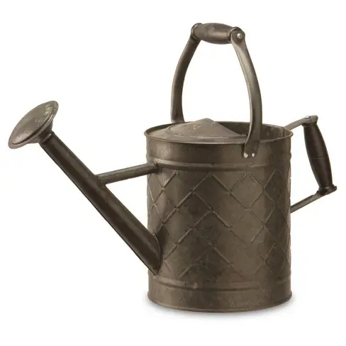 Garden SuppliesGalvanized Indoor And Outdoor Watering Can Hammered Design Garden Water Can Garden Plant Growth Supplies