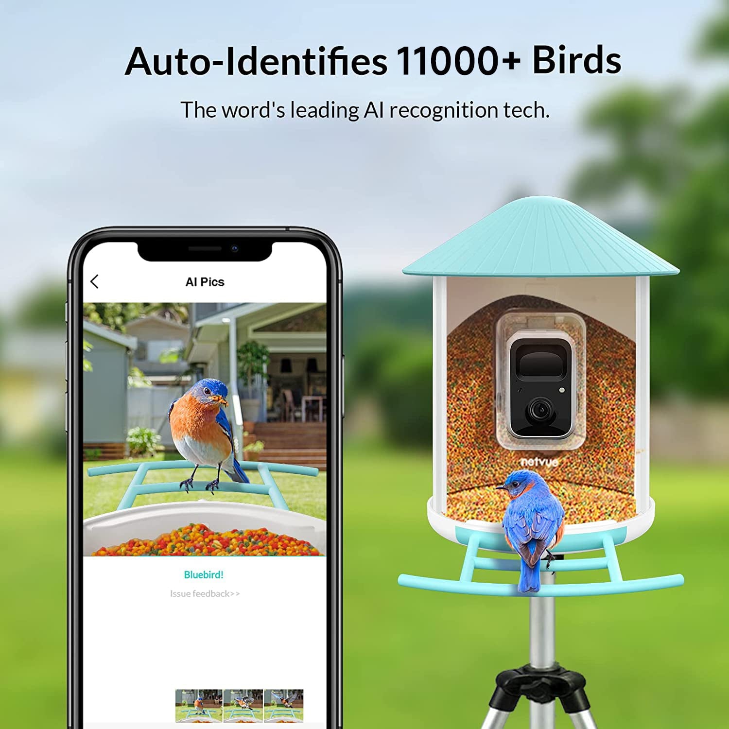 Bird Feeder with Camera， Netvue Birdfy Smart Bird Feeder with Phone App AI Identify Bird Species Night Vision for Bird Watching， Gift Ideas for Moms， Hopper Feeder， Blue (Birdfy AI+Solar)